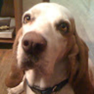 Meet your Posher, Marian